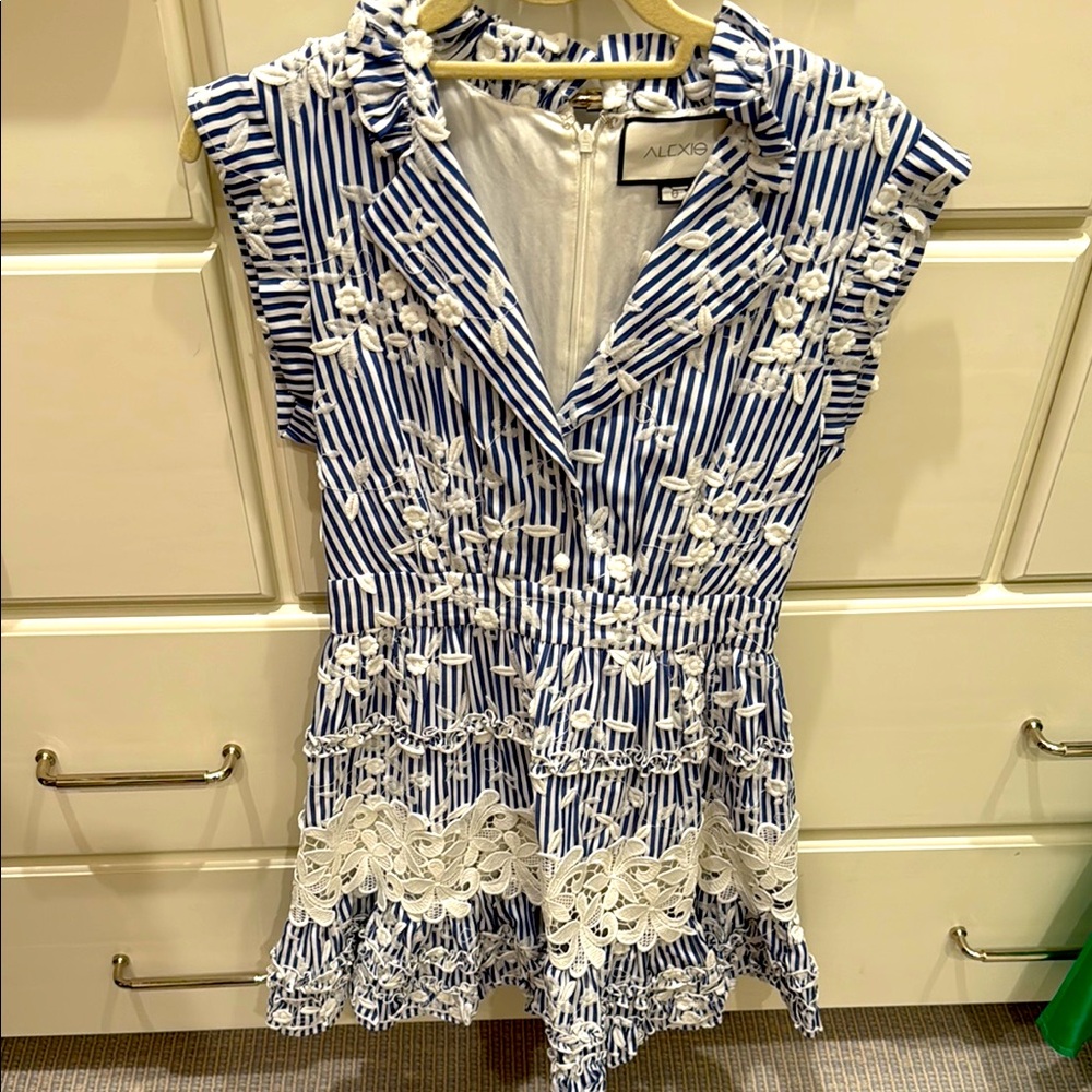 Alexis Blue and White Striped Mini Dress
